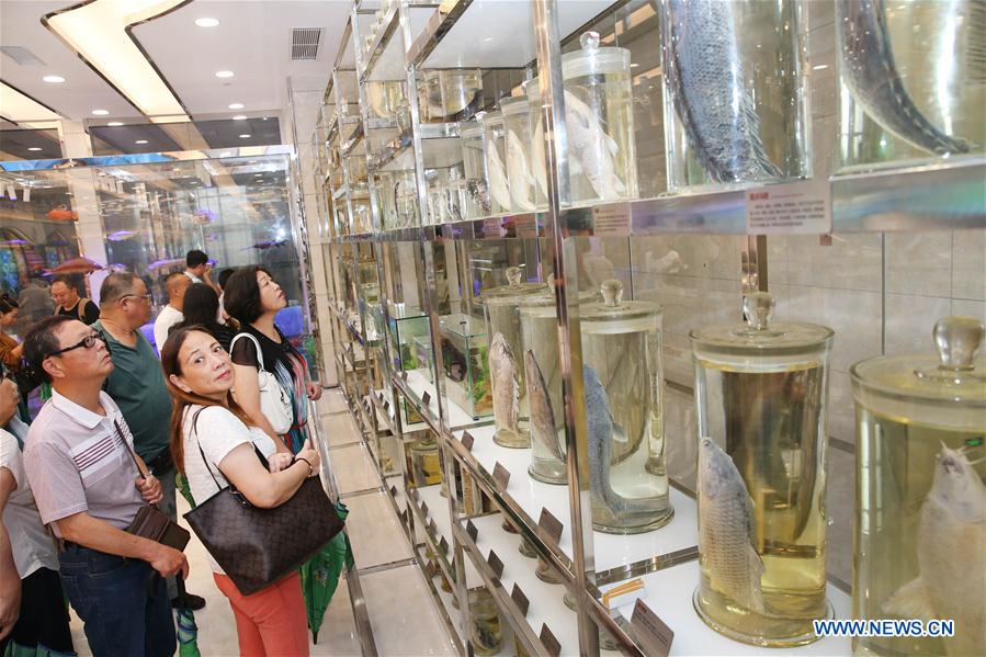 #CHINA-JIANGSU-PUFFER FISH-BREEDING (CN)