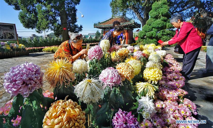 CHINA-BEIJING-CHRYSANTHEMUM FESTIVAL (CN)