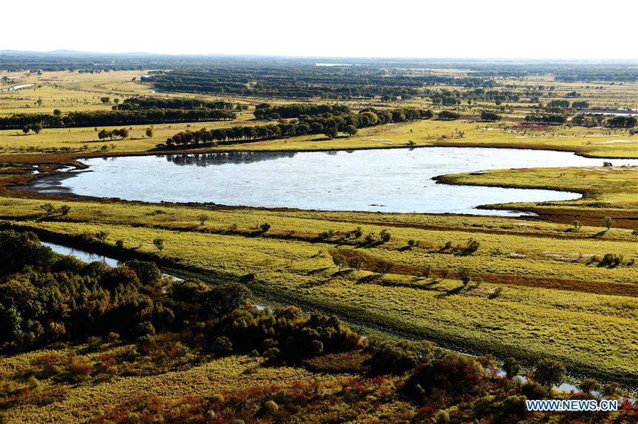 CHINA-HEILONGJIANG-WETLAND-AUTUMN (CN)