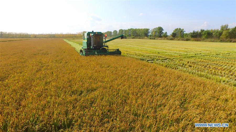 #CHINA-HEILONGJIANG-FARM WORK (CN)