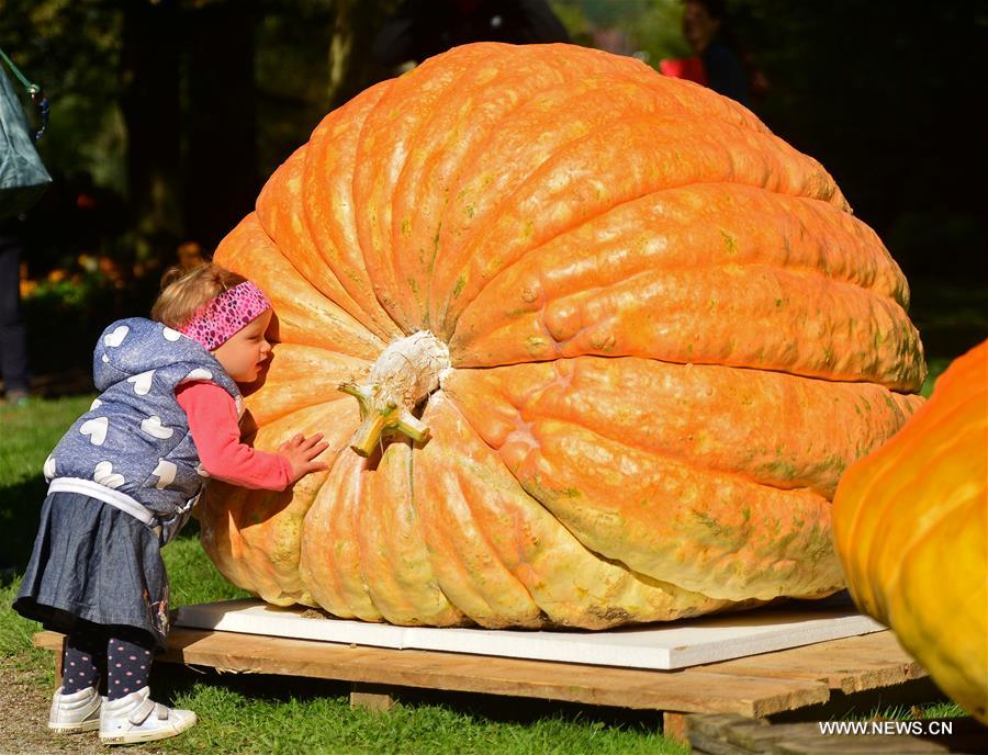 WEEKLY CHOICES OF XINHUA PHOTO