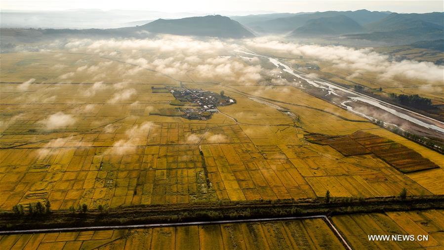 WEEKLY CHOICES OF XINHUA PHOTO 