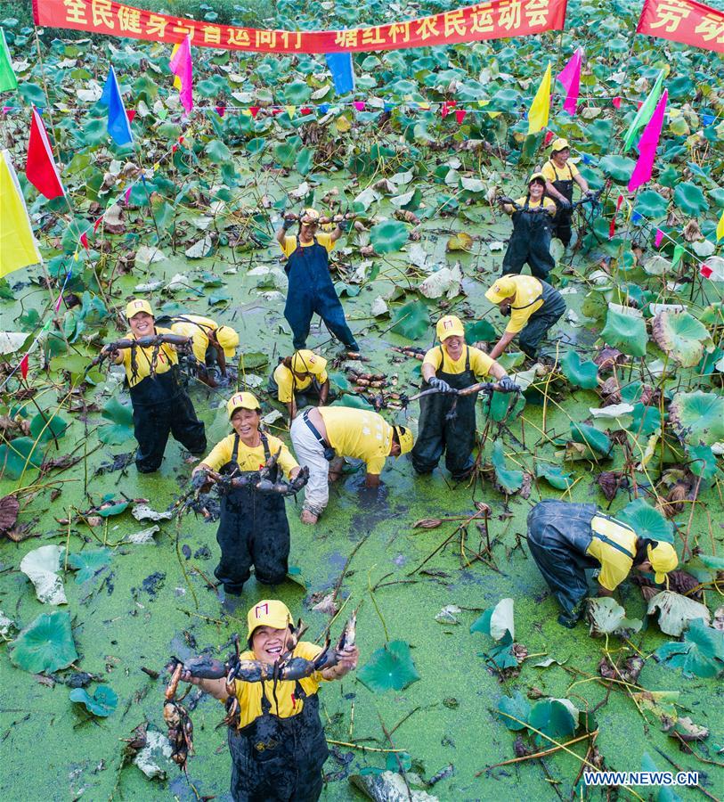 CHINA-ZHEJIANG-LOTUS ROOTS-HARVEST (CN)