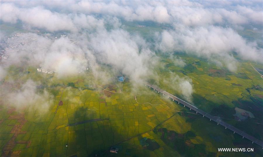 CHINA-GUANGXI-HIGH-SPEED RAILWAY (CN)