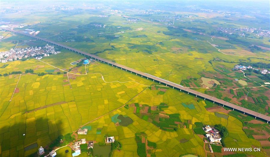 CHINA-GUANGXI-HIGH-SPEED RAILWAY (CN)