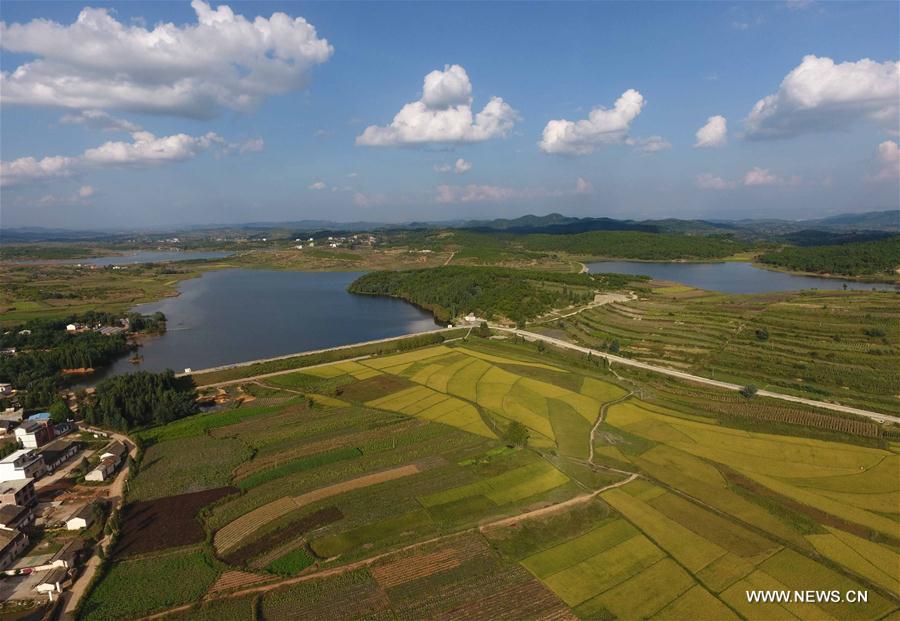 CHINA-YUNNAN-FIELD-SCENERY(CN)
