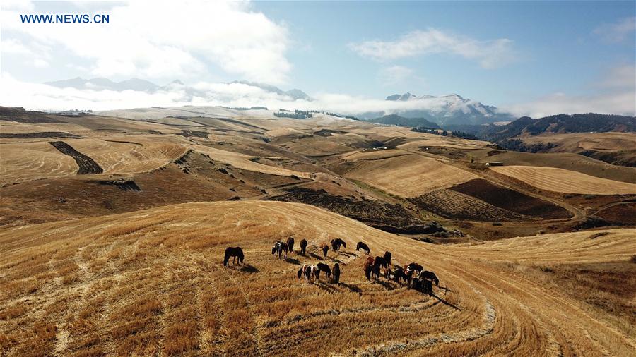 CHINA-XINJIANG-SCENERY(CN)