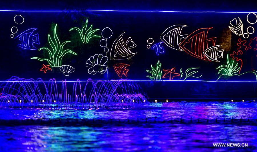 #CHINA-HUBEI-LIGHT SHOW (CN)