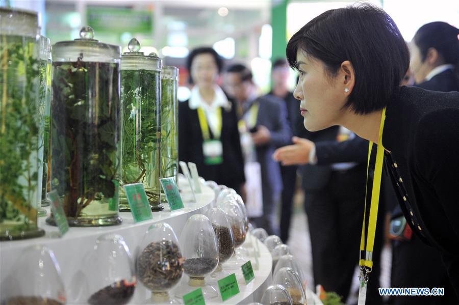CHINA-GANSU-TCM-EXPO (CN)