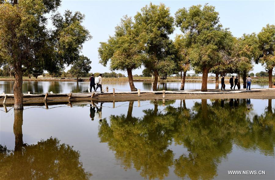 CHINA-XINJIANG-TARIM RIVER-SCENERY(CN)
