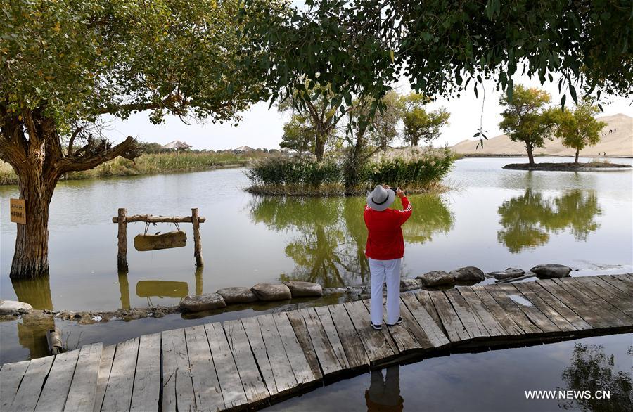CHINA-XINJIANG-TARIM RIVER-SCENERY(CN)