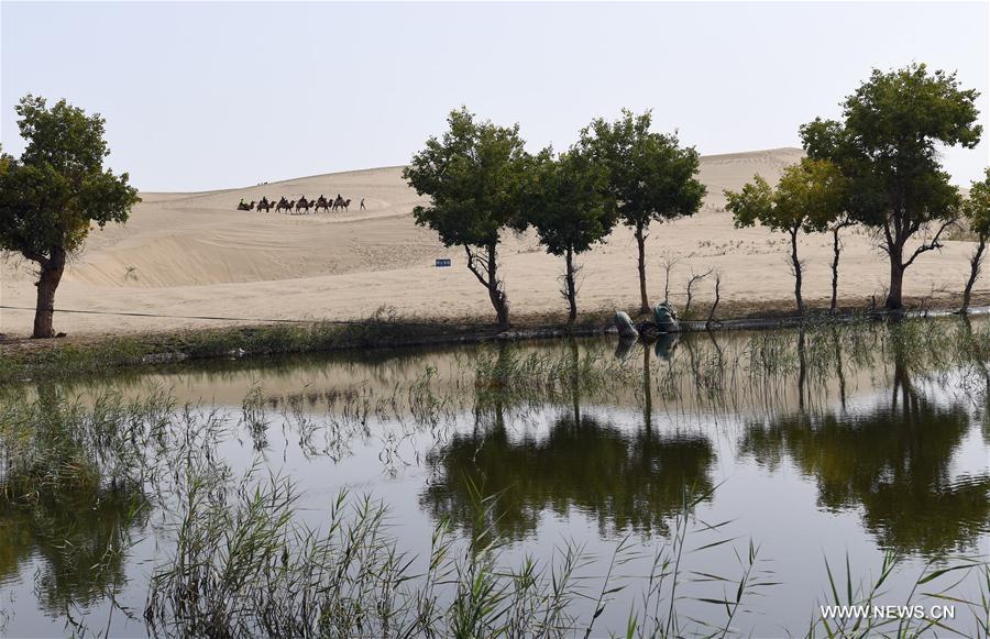 CHINA-XINJIANG-TARIM RIVER-SCENERY(CN)