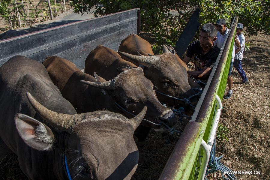 INDONESIA-BALI-MOUNT GUNUNG AGUNG-EVACUATION