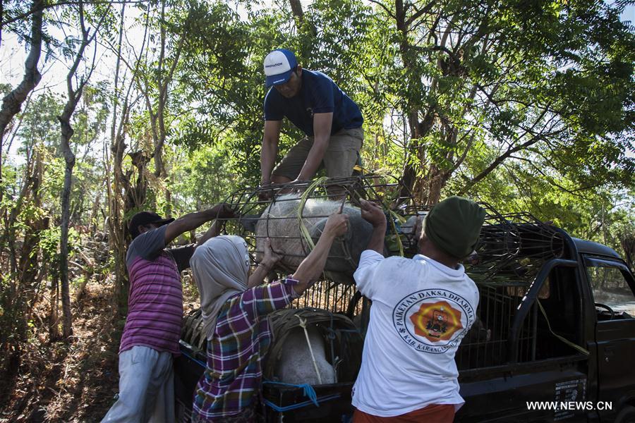 INDONESIA-BALI-MOUNT GUNUNG AGUNG-EVACUATION