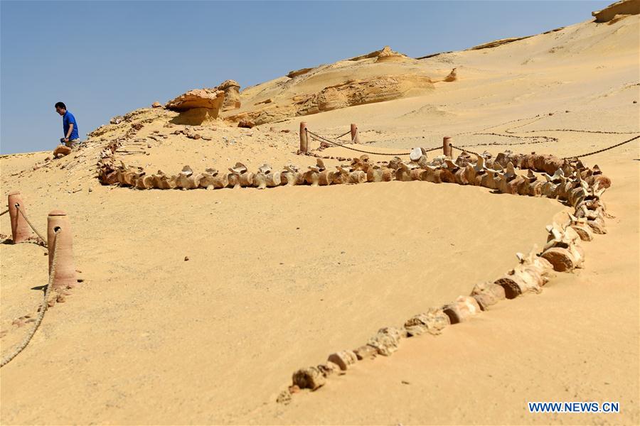 EGYPT-FAYOUM-VALLEY OF WHALES