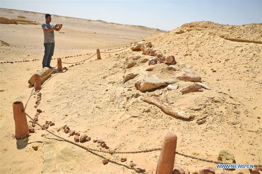 EGYPT-FAYOUM-VALLEY OF WHALES