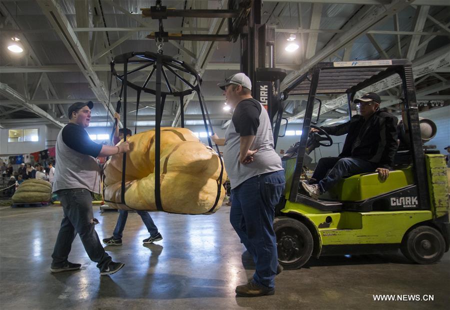 CANADA-BRUCE-GIANT PUMPKIN COMPETITION