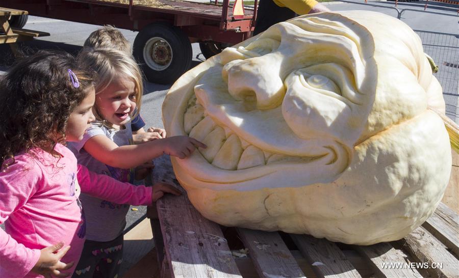 CANADA-BRUCE-GIANT PUMPKIN COMPETITION