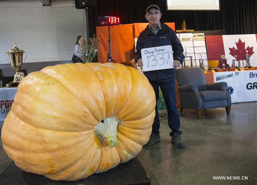 CANADA-BRUCE-GIANT PUMPKIN COMPETITION