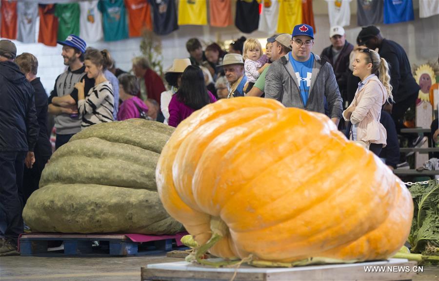 CANADA-BRUCE-GIANT PUMPKIN COMPETITION