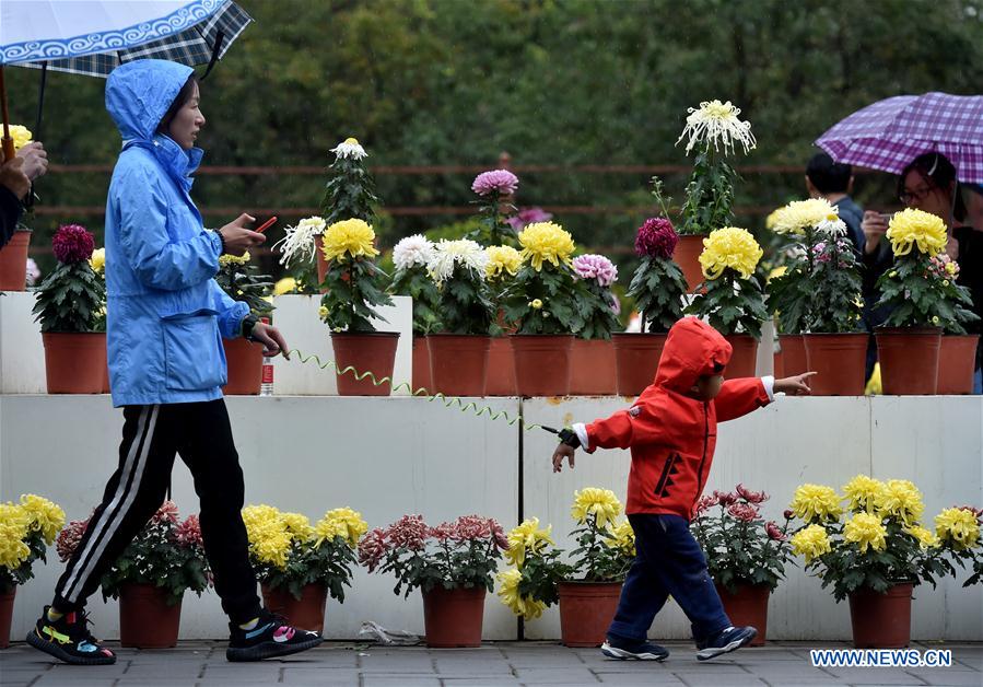 CHINA-BEIJING-YUANMINGYUAN-CHRYSANTHEMUM (CN)