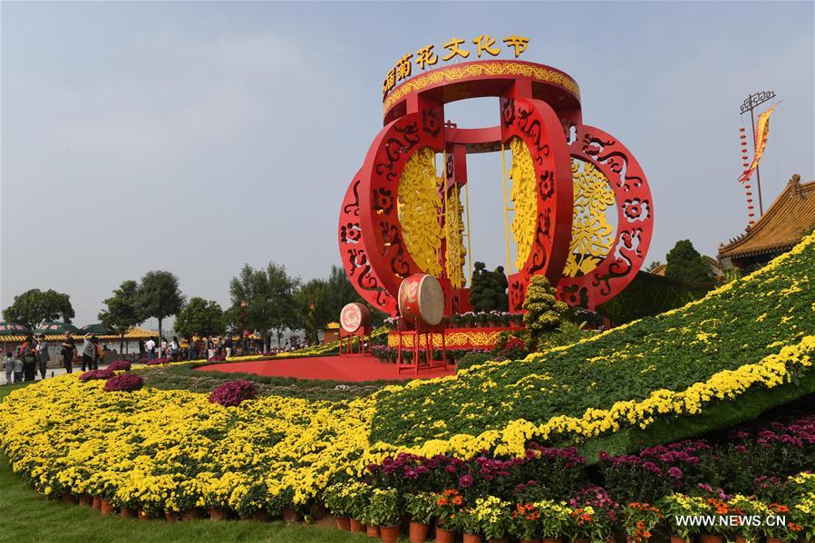 CHINA-HENAN-CHRYSANTHEMUM (CN)
