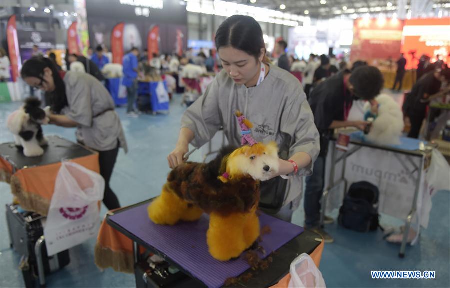 CHINA-SHANGHAI-CANINE EXHIBITION (CN)