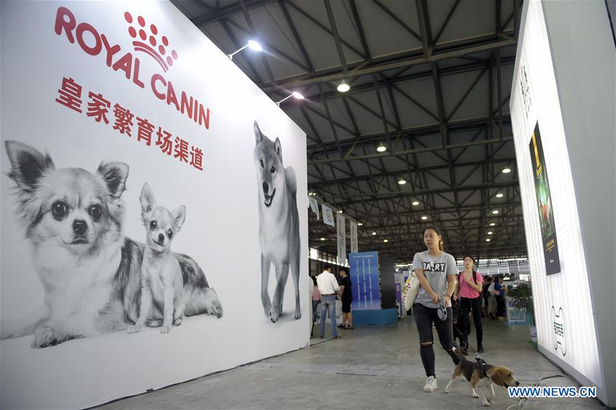 CHINA-SHANGHAI-CANINE EXHIBITION (CN)