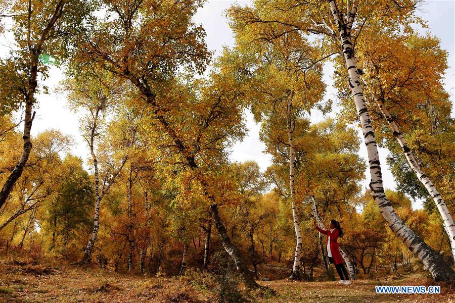 CHINA-INNER MONGOLIA-BAYAN NUR-AUTUMN (CN)