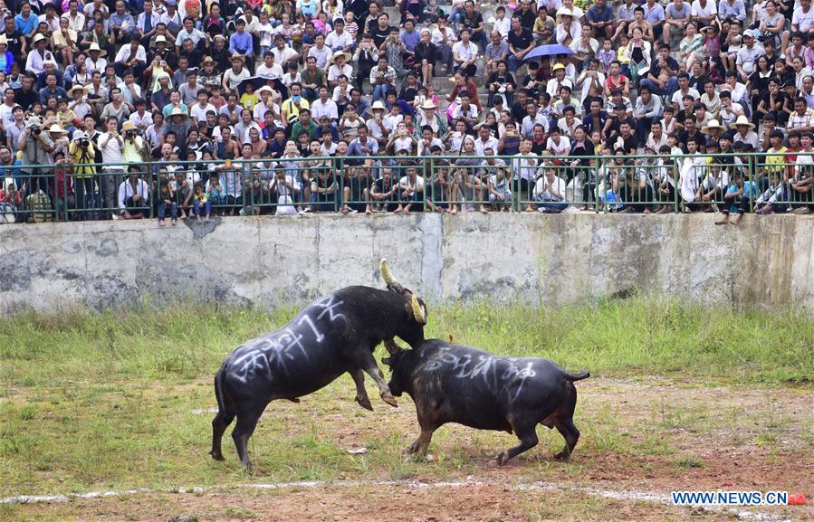 #CHINA-HOLIDAY ACTIVITIES (CN)