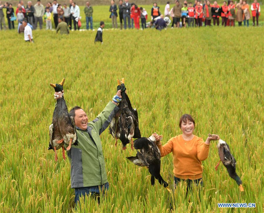 #CHINA-HOLIDAY ACTIVITIES (CN)