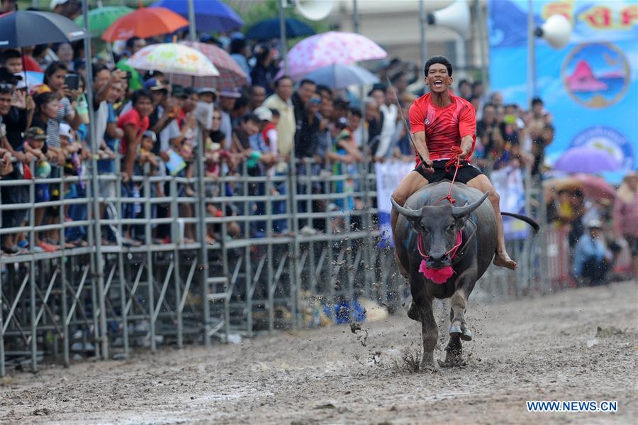 THAILAND-CHONBURI-BUFFALO RACING 