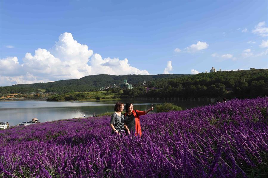 CHINA-YUNNAN-XUNDIAN-RURAL SCENERY (CN)