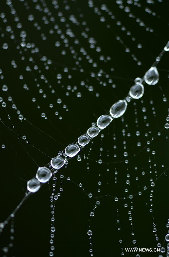 CHINA-AUTUMN-RAIN(CN)