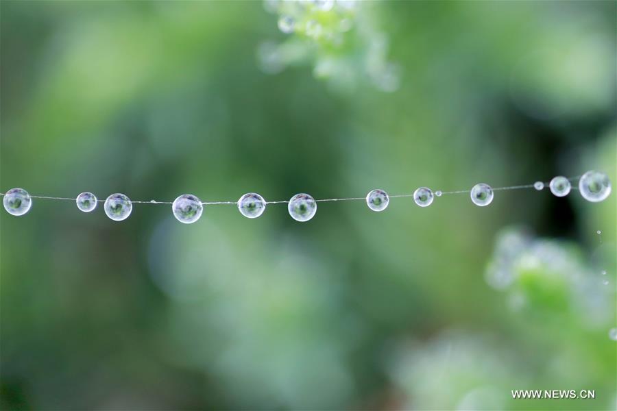 CHINA-AUTUMN-RAIN(CN)