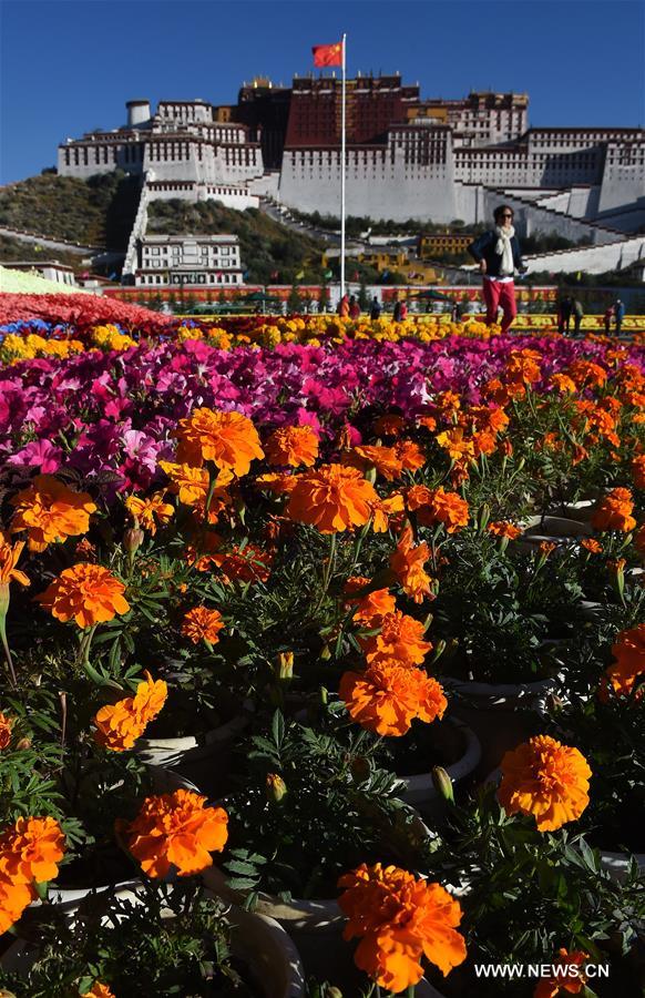 CHINA-LHASA-AUTUMN-SCENE(CN)
