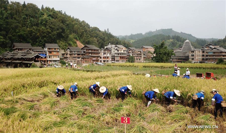 #CHINA-GUANGXI-DONG WOMEN-CONTEST (CN)