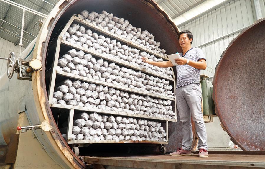 CHINA-JIANGXI-MUSHROOM(CN)