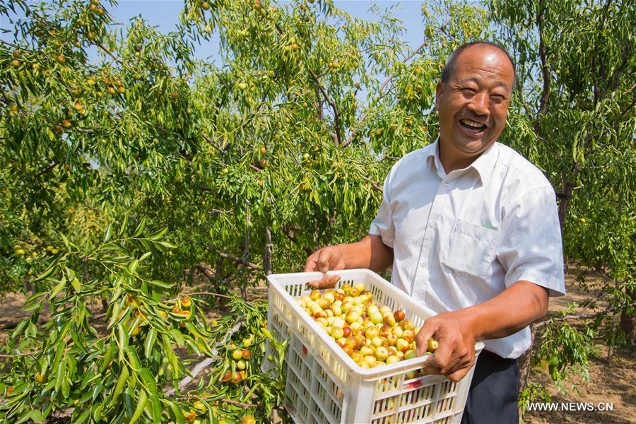 #CHINA-AUTUMN-HARVEST (CN)     