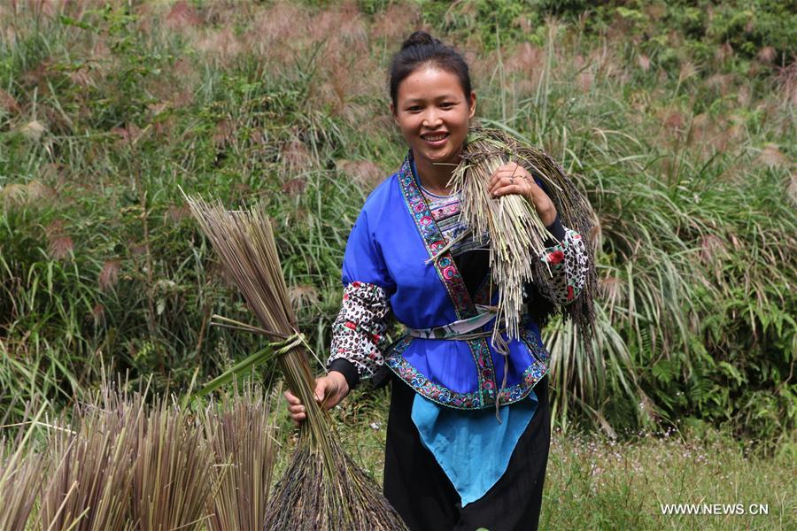 #CHINA-AUTUMN-HARVEST (CN)     