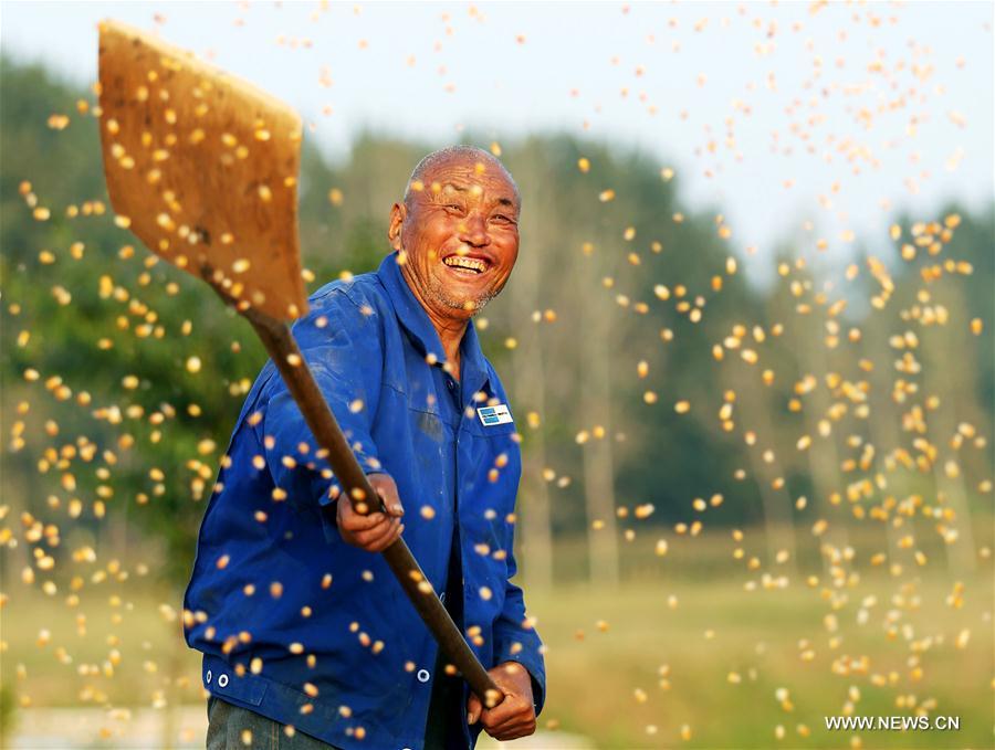 #CHINA-AUTUMN-HARVEST (CN)