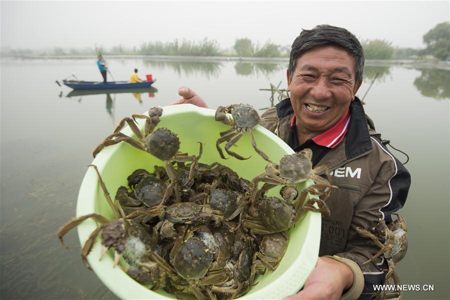 #CHINA-AUTUMN-HARVEST (CN)