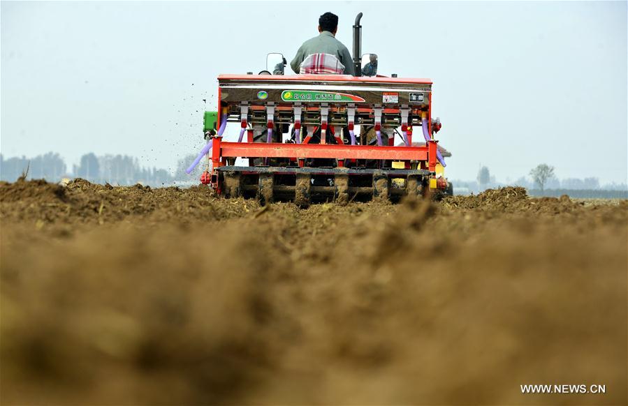 #CHINA-SHANDONG-AGRICULTURE-SOWING (CN)
