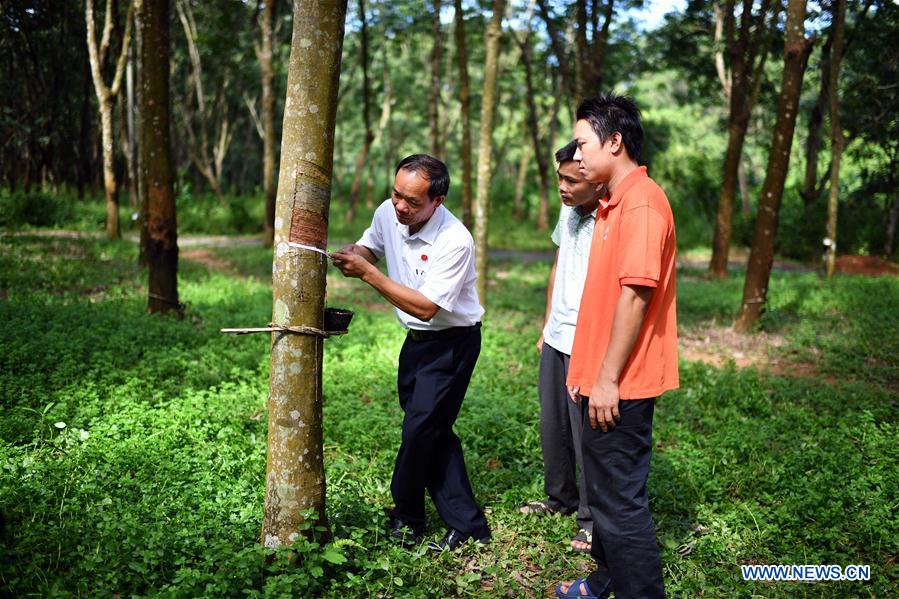 CHINA-CPC NATIONAL CONGRESS-DELEGATES (CN)