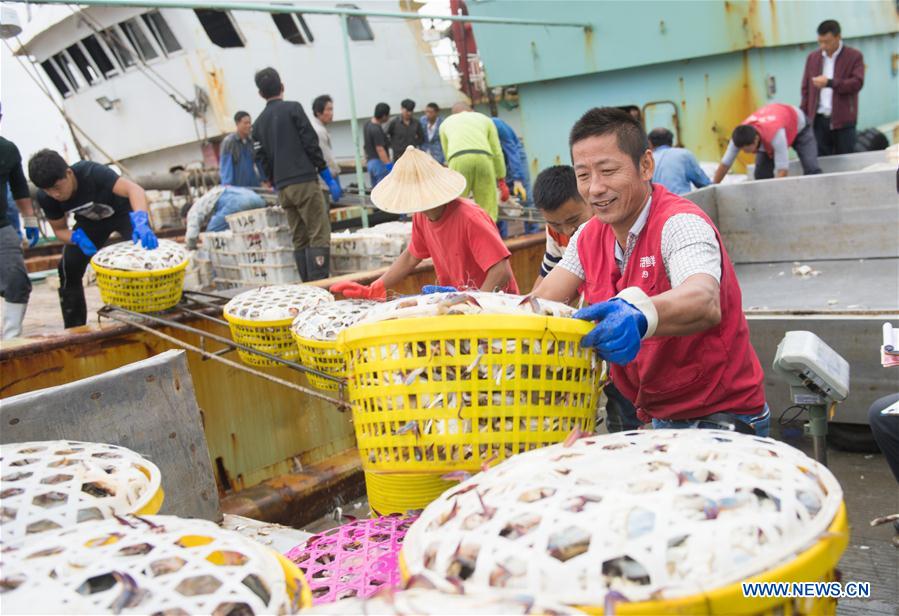 CHINA-ZHEJIANG-ZHOUSHAN-FISHERY (CN)