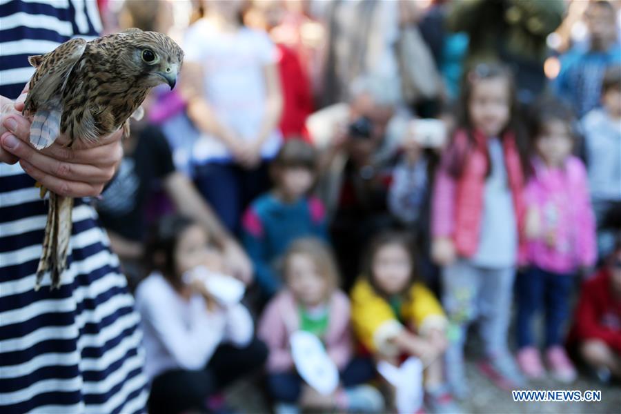 GREECE-ATHENS-EUROPEAN BIRD WATCHING DAY