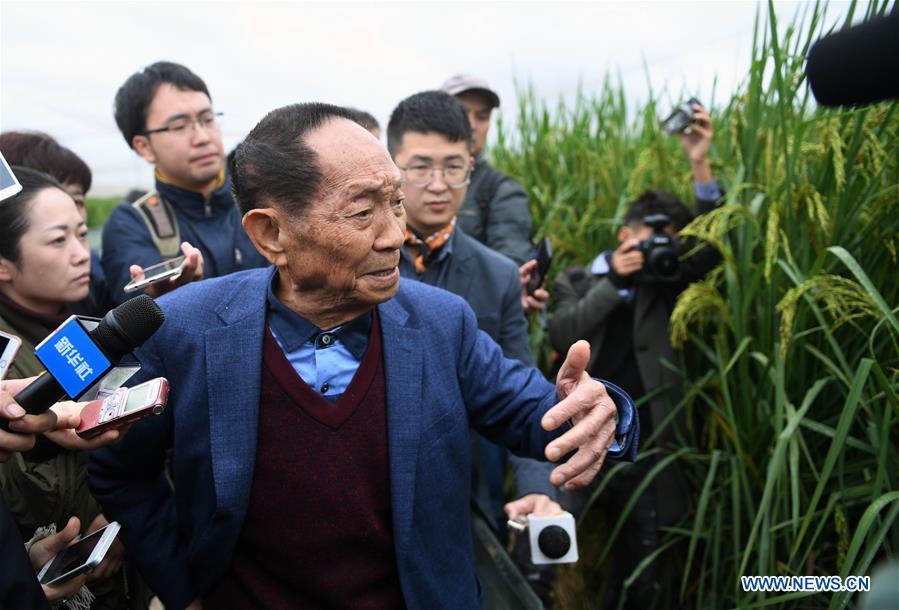 CHINA-HUNAN-'GIANT' RICE (CN)