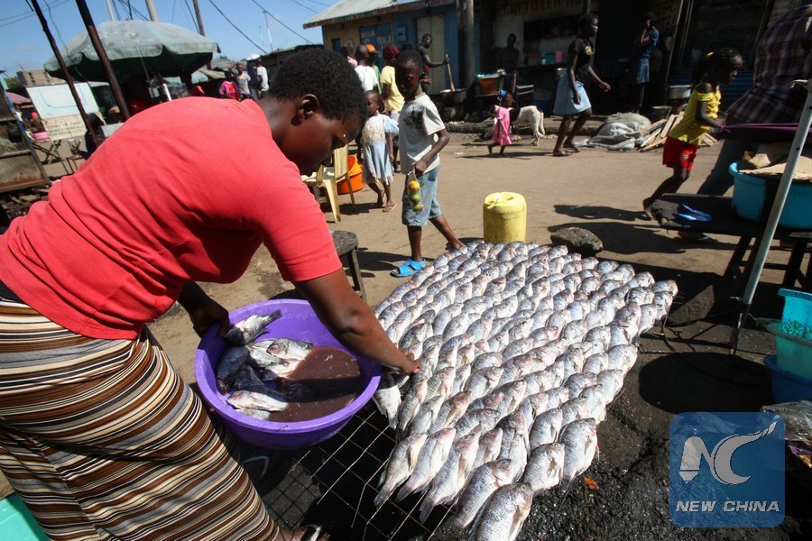 Will tilapia buoy fish farming along Kenyan coast? Xinhua English