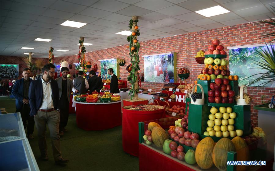 AFGHANISTAN-KABUL-AGRICULTURE-EXHIBITION