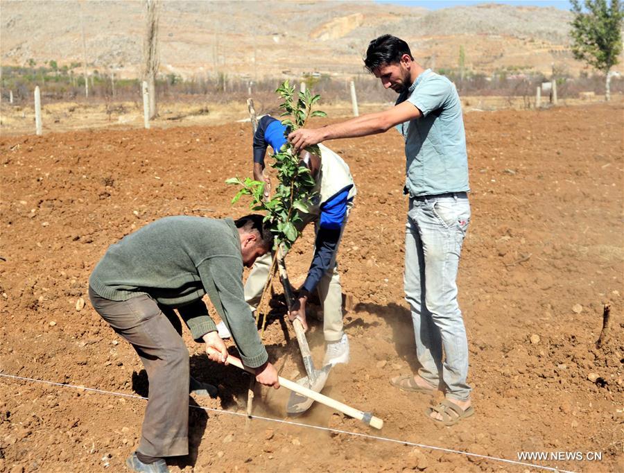 SYRIA-ZABADANI-FARMLAND-REHABILITATION